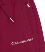 спортивные штаны Calvin Klein Jeans - малиновый(IG0IG01509)