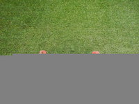 DSCN9239.jpg