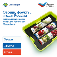 Модуль "Овощи, фрукты, ягоды России" Learning Resources MS0102/2
