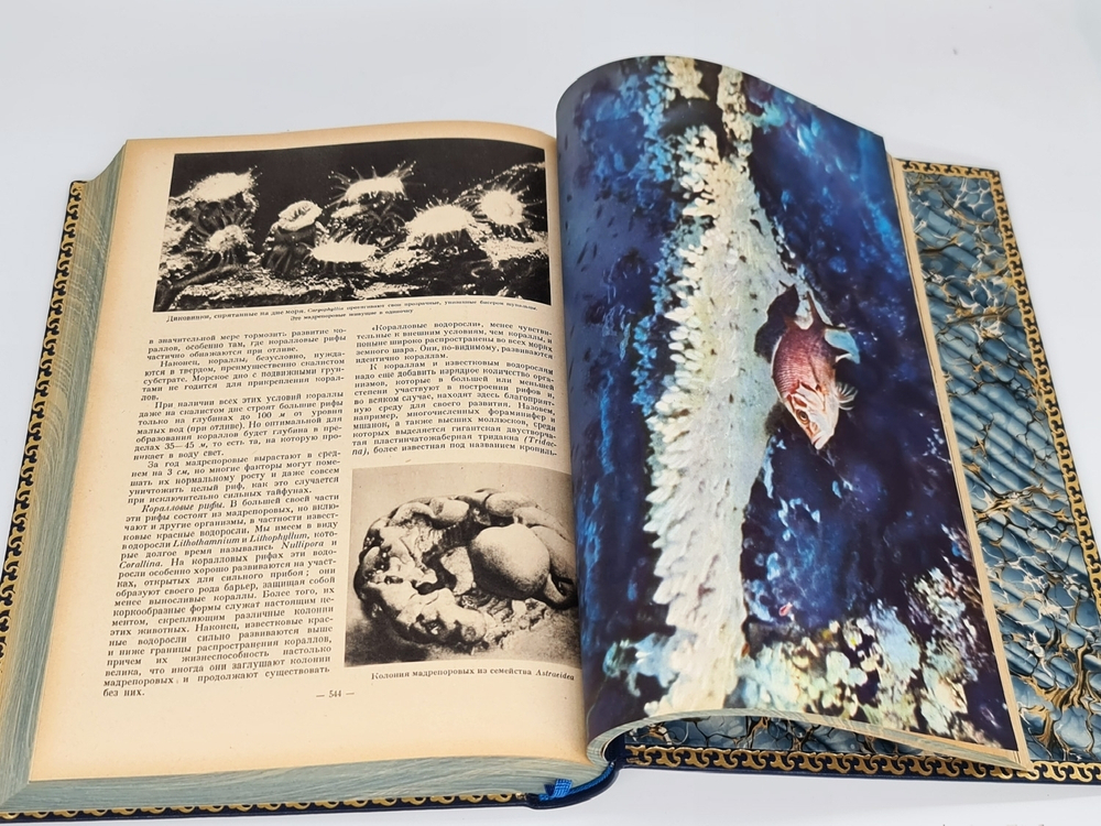 Подарочная книга "Море". В.Романовский, К.Франсис-Бёф, Ж.Буркар 1960 г