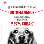 Royal Canin Medium Digestive Care Медиум Дайджестив кэа Корм сухой для взрослых собак средних размеров с чувствительным пищеварением 12кг