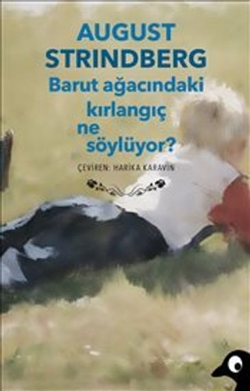 Barut Ağacındaki Kırlangıç Ne Söylüyor