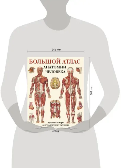Большой атлас анатомии человека