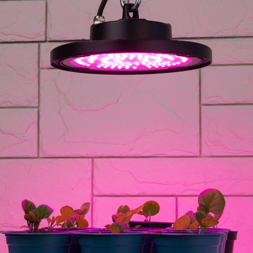 Фитопрожектор для растений светодиодный ЭРА FITO-50W-RB-LED-UFO красно-синего спектра 50 Вт IP65 | Фито прожекторы