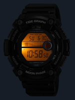 Мужские наручные часы Casio Collection WS-1300H-2A