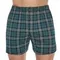 Трусы мужские семейные Cornette Comfort 002/245, зелёные в клетку