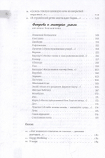 Медное зеркало: Стихотворения 1987-2020