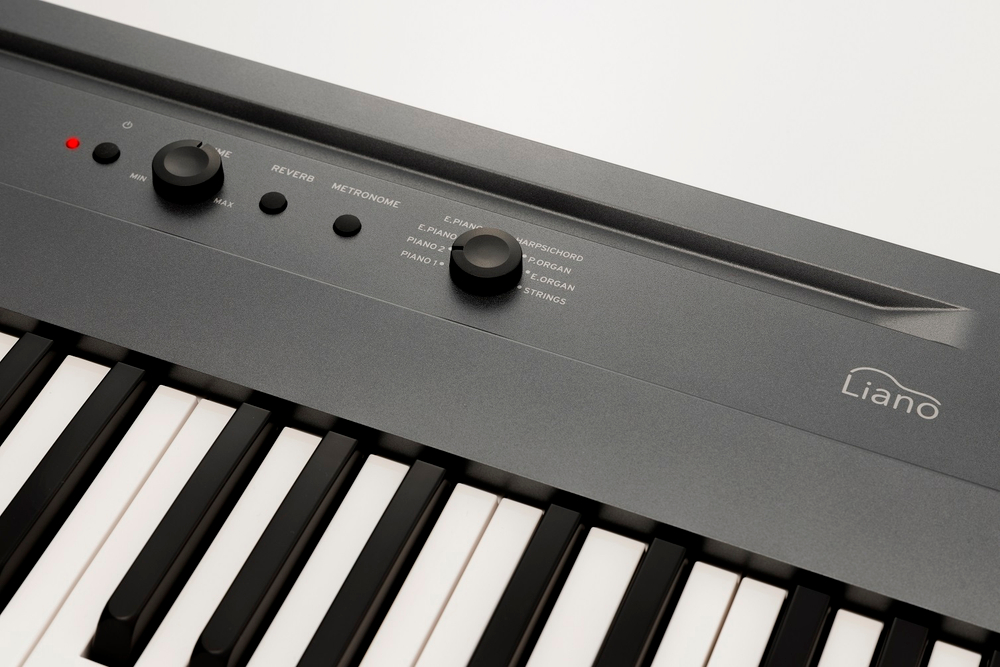 Korg L1