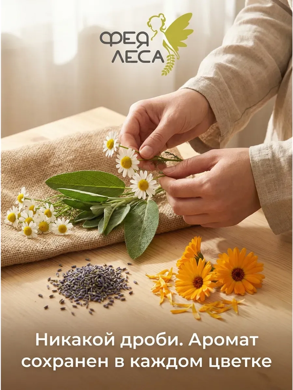 Железница крымская цветы для чая и фитосборов