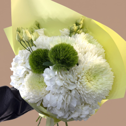 Хризантемы и гортензии Lime and White
