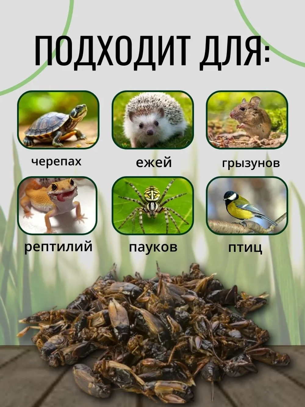 Двупятнистый сверчок консервированный ONTO 40 г