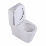 напольный унитаз ceramalux TR2178MN монолит