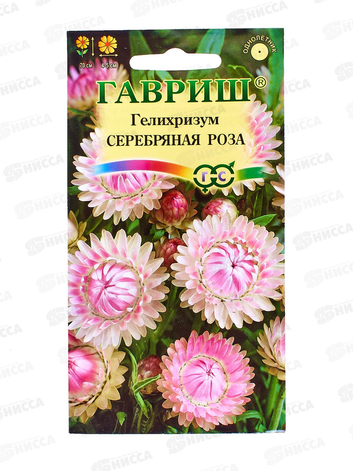 Гелихризум Серебряная роза Евро *10 УрД 4627104608985 18.45