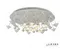 Потолочная люстра Darner C50068/16Y WH iLedex