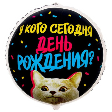 К 18" круг «У кого др» кот