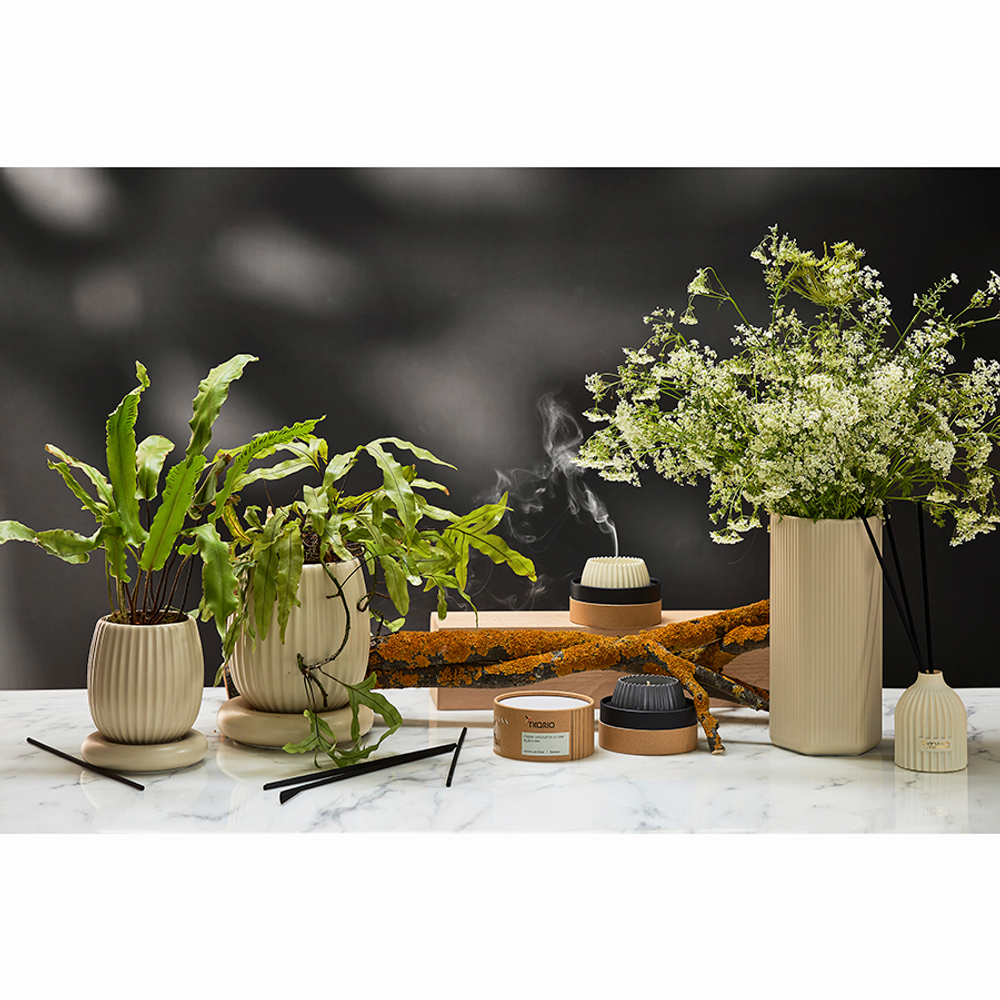 Свеча ароматическая Tkano Edge Vetiver & Black Cypress бежевая 30ч