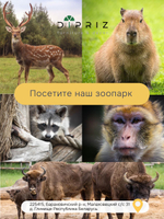 Шкаф кухонный навесной 40х32х75, Севилья, кухонный модуль с дверью, белый, Marmur