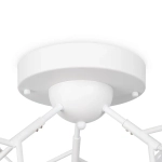 Потолочный светильник Florencia FR5049CL-27W2, G4х27. TM Maytoni