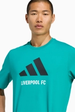 Футболка adidas Liverpool FC 25/26 Seasonal Graphic Tee - бирюзовый