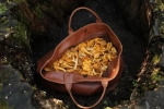 Тоут из кожи Weekender bag «Autumn Leaf»