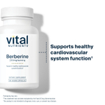 Vital Nutrients, Берберин, 200 мг, 60 веганских капсул