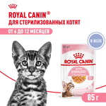 Royal Canin Kitten Sterilised Киттен Стерилайзд Корм влажный для кастрированных и стерилизованных котят в возрасте от 6 до 12 месяцев желе 85г