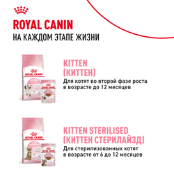 Royal Canin Mother&Babycat Корм сухой для котят в период первой фазы роста и отъема, беременных и кормящих кошек - 2 кг