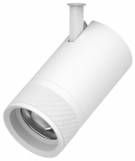 Светильник на штанге Lightstar Canno Pro 304406
