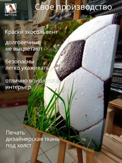 Картина "Мяч в траве", модульная 30х40см 1шт.