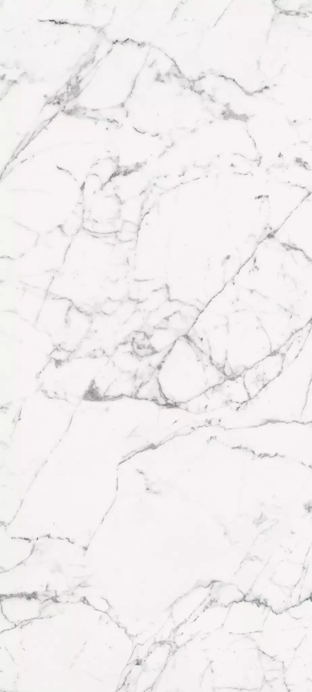 Керамогранит Magnum Les Origines de REX Blanc Matte 6mm