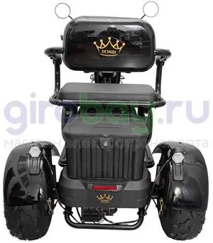 Электротрицикл IKINGI SIBTRIKE T3 Pro MAX 1000W (60V/30Ah) - Чёрный фото №18
