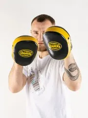 Лапы тренерские LEADERS T-AIR BUMBLEBEE черно-желтые