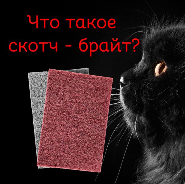 Что такое скотч-брайт? Что такое скотч-брайт?