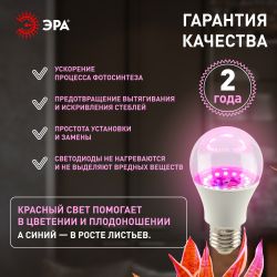 Фитолампа для растений светодиодная ЭРА GREEN LINE ФИТО A65-20W-PL-E27-GR розового свечения 20 Вт Е27 | Фитолампы Е27