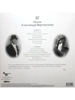 Виниловая пластинка