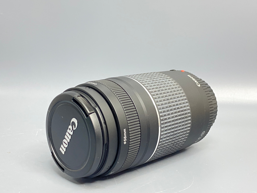 Canon EF 75-300mm 4-5.6 III