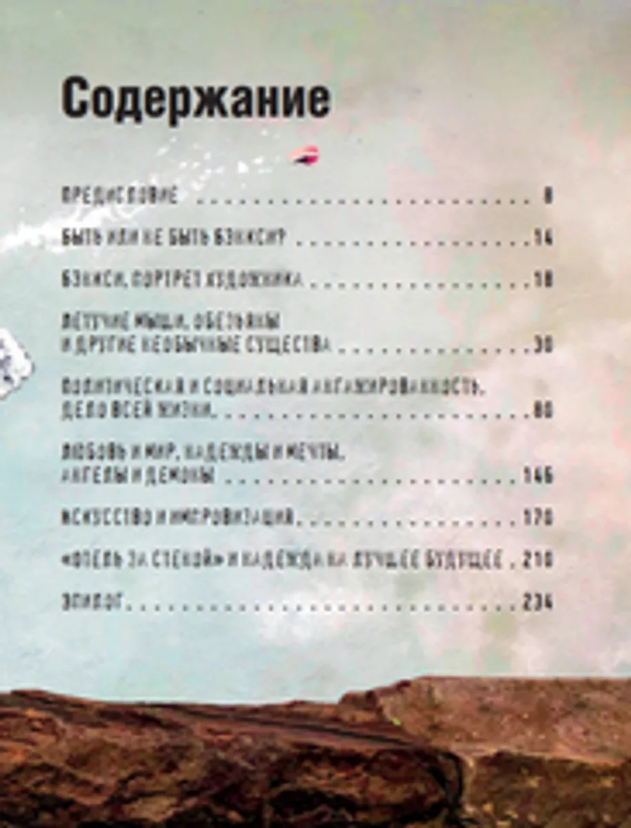 Бэнкси. Неофициальная биография