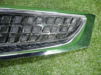 DSCN0729.jpg
