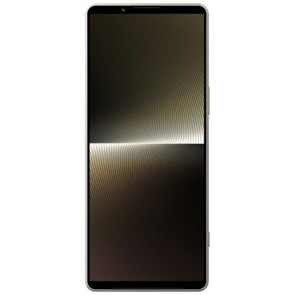 Sony Xperia 1 V (XQ-DQ72) 12/512Gb Platinum Silver