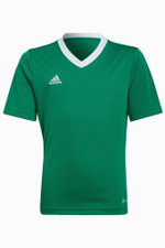 Футболка adidas Entrada 22