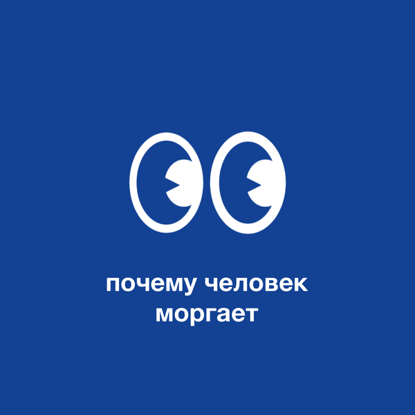 Почему человек моргает?