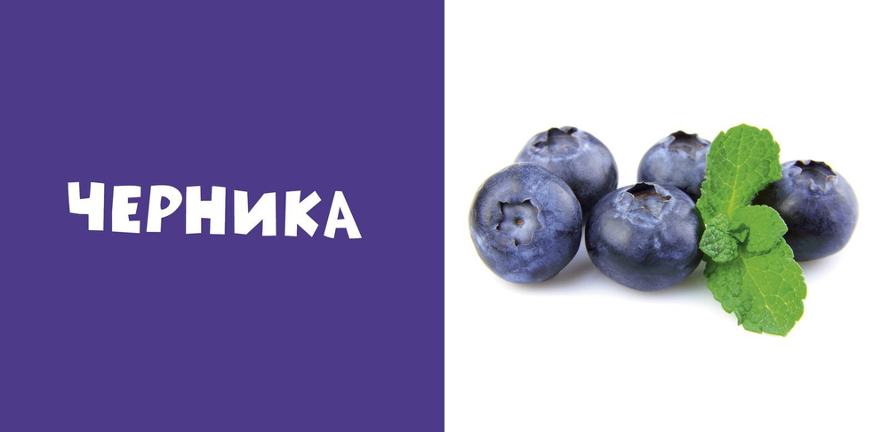 Мои первые слова. Фото-книга. Фрукты и ягоды МИНИ (новое издание)