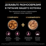 Корм с индейкой для котят для здоровья пищеварения Pro Plan РАЗВЕСНОЙ
