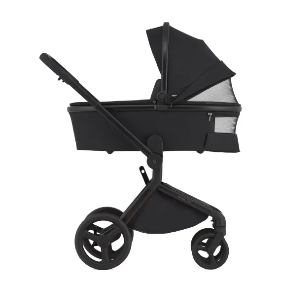 Коляска ANEX Flo 2 в 1 Lungo