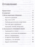 Осознанность и плюшевый мишка. Вопросы и ответы по укрощению твоего дикого ума