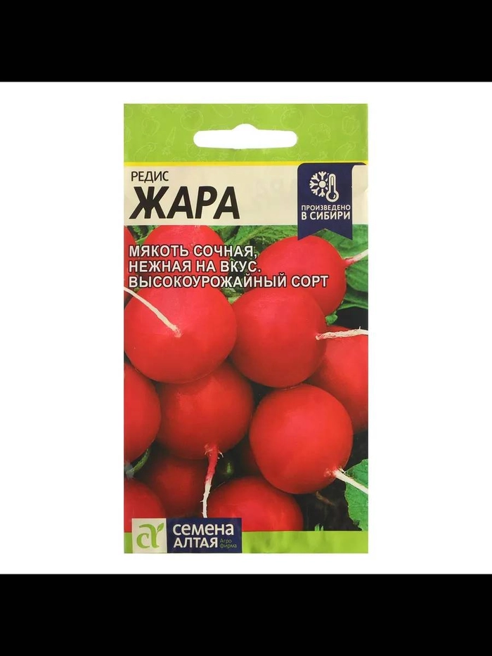 Редис Жара /Сем.Алт/