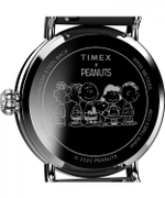 Женские наручные часы Timex TW2V60700