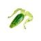 Лягушка Helios Frog 2,56"/6,5 см Green Lime 7шт. (HS-21-010)