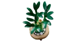 Конструктор LEGO Botanical Collection 10344 Бамбук удачи