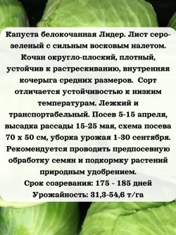 Семена капуста белокочанная Лидер 1 гр